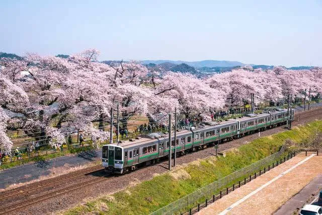 【株主優待】鉄分が高い人にオススメの鉄道株3選。株主優待の乗車証とは？   マネ会 by Ameba