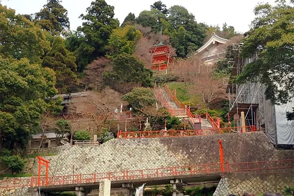 【目指せ不思議スポット】琵琶湖に浮かぶ神秘の島