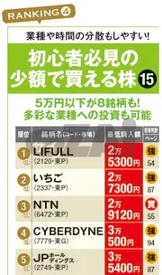 初心者必見の少額で買える株ランキング