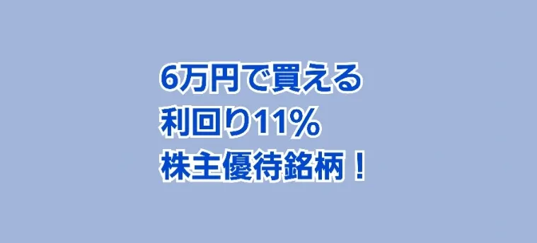 6万円で買える 利回り11％株主優待銘柄     かすみちゃんの株主優待日記