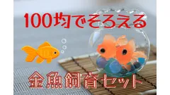 100均の「金魚飼育セット」\u3000お祭りでとった金魚も少ない費用で住みやすく 画像