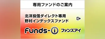 専用ファンドのご案内\u3000北洋投信ダイレクト専用野村インデックスファンド ファンズアイ